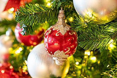 《宝可梦：朱＆紫》六周售出2000万套 2月底将进行更新